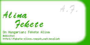 alina fekete business card